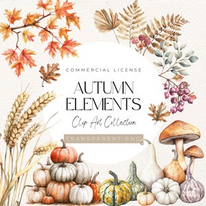 Puede incluir: Ilustración en acuarela de elementos otoñales, que incluyen calabazas, calabacines, trigo, setas y follaje de otoño. El texto dice "Autumn Elements Clip Art Collection" con una "Commercial License" y "Transparent PNG".