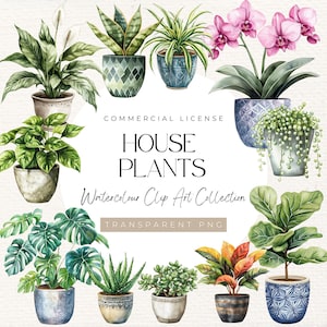 Clipart aquarel potplanten voor kamerplanten – 24 png-bestanden | slangenplant, pothos, vredeslelie, orchidee, vioolbladvijg, jadeplant | Digitale download