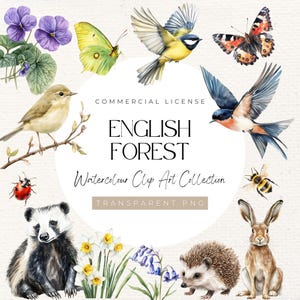 Coleção de aquarela de floresta inglesa de 30 peças - Animais de primavera, insetos e flores clipart, 300 DPI, licença comercial, clipart de primavera