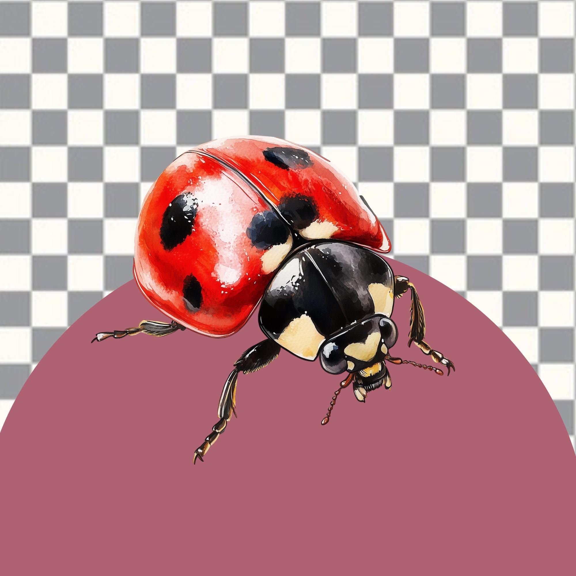 30-piece English Forest Watercolour Collection - Spring Animals ...