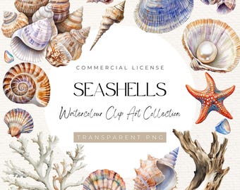 Seashell Watercolor Clipart Bundle – Beach, Ocean, Coastal (PNG)