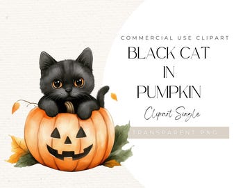 May include: A watercolour illustration features a black cat nestled inside a carved orange pumpkin, with autumn leaves. The image includes the text "Black Cat in Pumpkin Clipart Single".