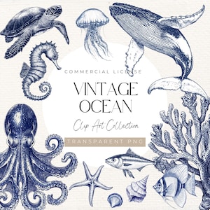 Clipart de Océano Vintage: 38 criaturas marinas azul marino en estilo grabado para diseños náuticos, invitaciones de boda y cumpleaños, 300 DPI