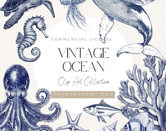 May include: A collection of vintage ocean-themed clip art in shades of blue. The image features illustrations of a sea turtle, jellyfish, whale, seahorse, octopus, starfish, fish, coral, and seashells. Text reads "Vintage Ocean Clip Art Collection".