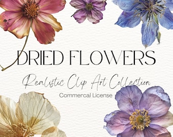 Dried Flowers Clipart, Realistic Floral Clip Art (450 DPI) (PDF Download)