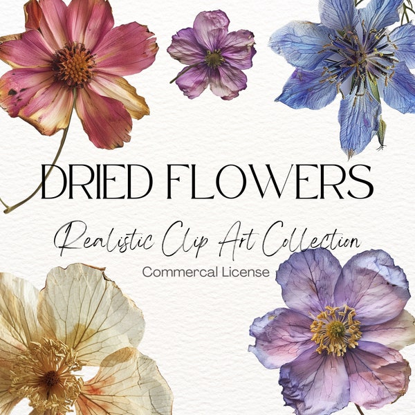 Dried Flowers Clipart, Pressed Flowers Clipart, Dried Flowers, Pressed Flowers, 450 DPI, Realistic Clip Art, Flower Clip Art