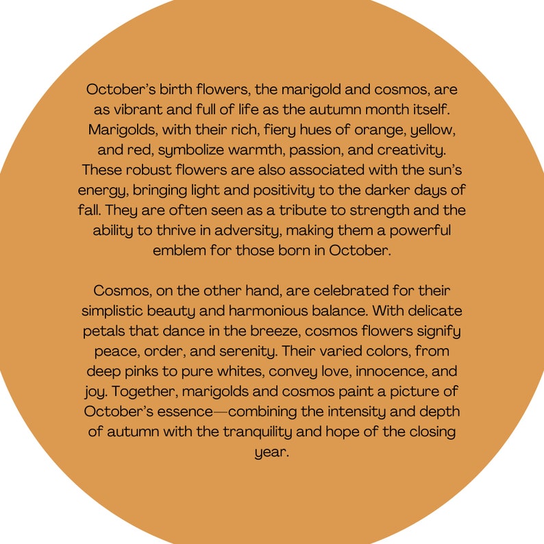 May include: Text about the birth flowers of October, the marigold and cosmos. Marigolds are described as vibrant and full of life, with rich, fiery hues of orange, yellow, and red. Cosmos are described as having simplistic beauty and harmonious balance, with delicate petals that dance in the breeze. The text describes the flowers as symbols of warmth, passion, creativity, strength, peace, order, serenity, love, innocence, and joy.