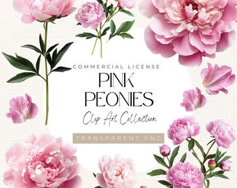 Pink Peonies Clipart Set – 16 Floral PNGs (Digital Download)