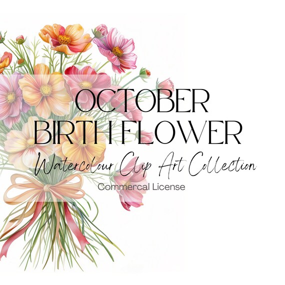 October Birth Flower Clipart, Watercolor Marigold and Cosmos (Digital Download)