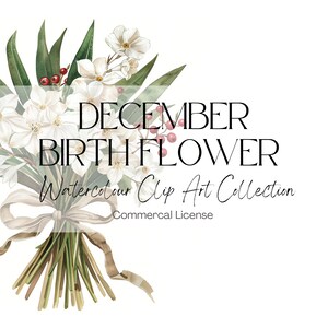 Geboortebloem december | Papierwit en hulst | Bloemenillustraties | Verjaardagen in december | Verjaardagskunst december | 300 dpi