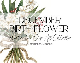 December Birth Flower Watercolor Clip Art | Paperwhites & Holly (300 DPI)