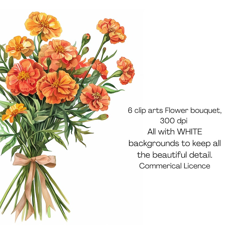 May include: A bouquet of orange marigold flowers tied with a brown ribbon. The flowers are arranged in a cluster with green leaves and stems. The background is white.