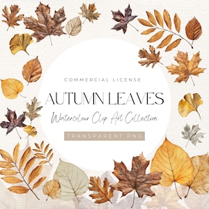 May include: A collection of watercolour autumn leaves in various shades of brown, yellow, and orange. The leaves are arranged around a white circle with the text "COMMERCIAL LICENSE AUTUMN LEAVES Watercolour Clip Art Collection TRANSPARENT PNG".