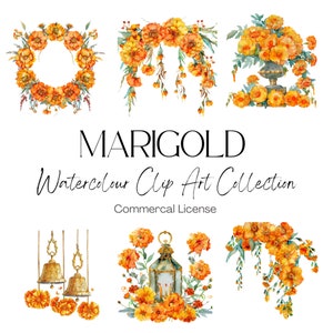 60 goudsbloemen aquarel Clip Art-collectie | Indiase bruiloft | Illustraties Indiase bruiloft|  Goudsbloemdecoratie | Goudsbloemthema |
