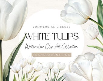 Imágenes prediseñadas de acuarela de tulipanes blancos / Colección de arte floral (300 ppp)