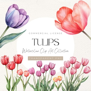 35 tulpen aquarelcollectie | Prachtige bloemen, clipart tulp, 300 dpi, bloemenillustraties, aquarelbloemen, bloemsierkunst