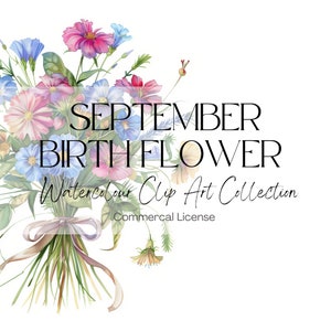 Naissance de septembre bouquet de fleurs aquarelle Clip Art, fleurs d'asters et de gloire du matin, clipart floral, fleurs de naissance, fleur de naissance de septembre