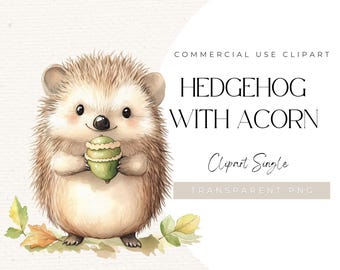 Hedgehog Clipart PNG – Watercolor Autumn Woodland Animal (Digital Download)