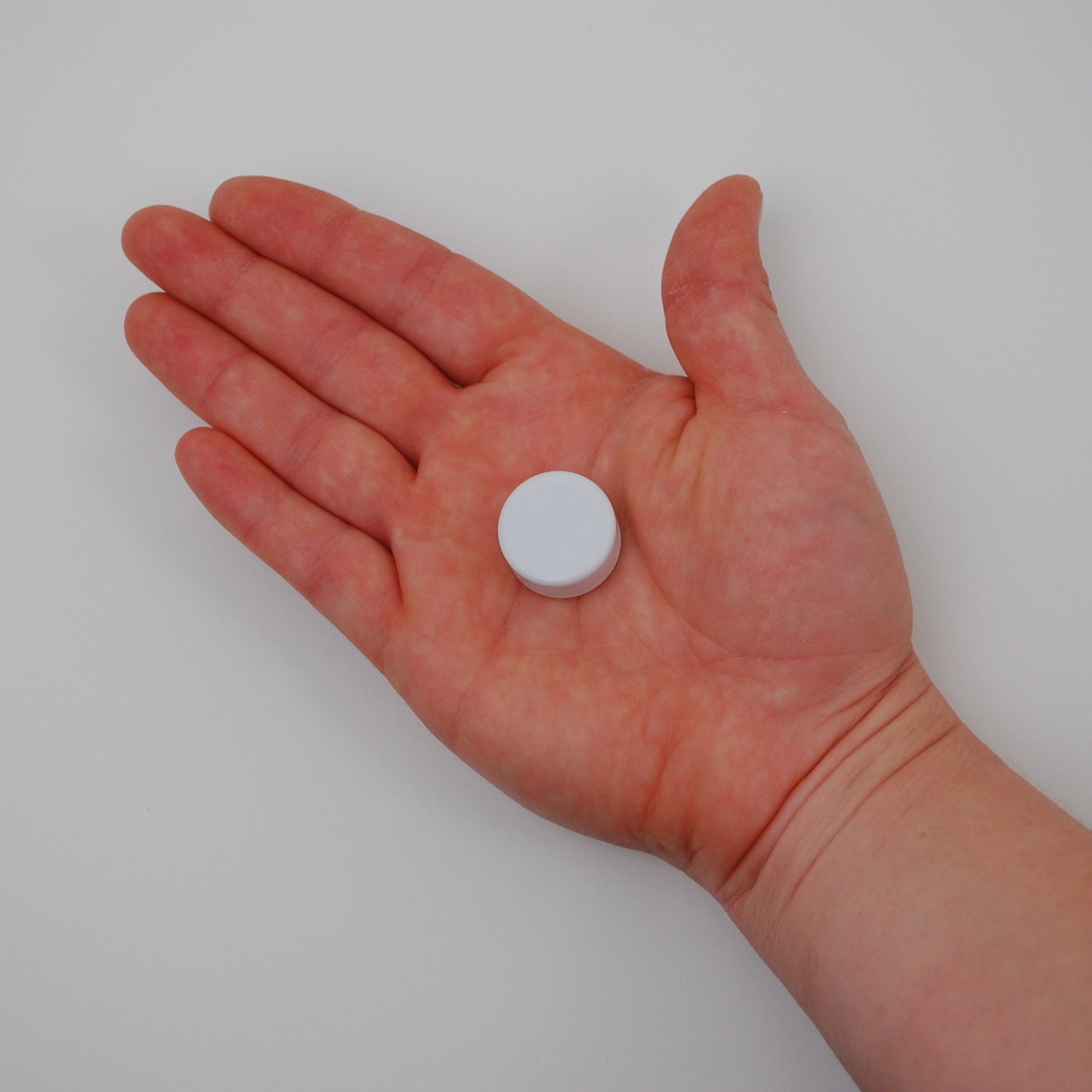 Small Rattle Inserts Plastic Toy Part Stuffed Animal and Etsy