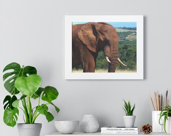 Minimalist Elephant Canvas Wall art | Trendy Wall art for Room Decor | Best Selling Art | Elephant Photograph Art Gifts for Animal Lovers