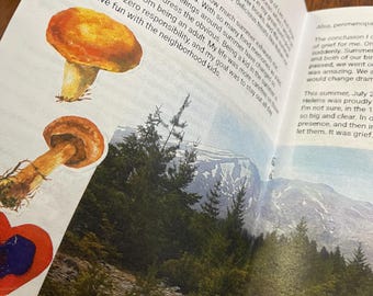 Sacred Roots Zine, Issue #3: • Summer Homestead Life • Chickens, Garden & Grief