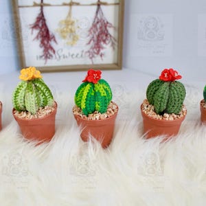 Cactus Crochet Cactus Pot Crochet Cactus In Pot Fake Cactus Plant Realistic Cactus Plant Fake Plant Fake Mini Cactus Fake Desk Plant