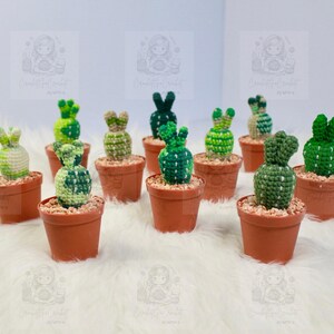 Handmade Amigurumi Cactus in Pot Crochet Decorations Handmade Cactus In Claypot Crochet Plush Toy Handmade Cactus Crochet Stuff Animal Gift