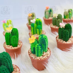 Cactus Crochet Cactus Pot Crochet Cactus In Pot Fake Cactus Plant Realistic Cactus Plant Fake Plant Fake Mini Cactus Fake Desk Plant