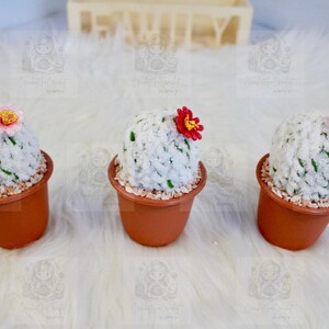 Handmade Amigurumi Cactus in Pot Crochet Decorations Handmade Cactus In Claypot Crochet Plush Toy Handmade Cactus Crochet Stuff Animal Gift