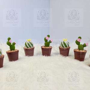 Handmade Amigurumi Cactus in Pot Crochet Decorations/ unique cactus for home improvement desk kitchen livingroom / diy/ mini cactus plants