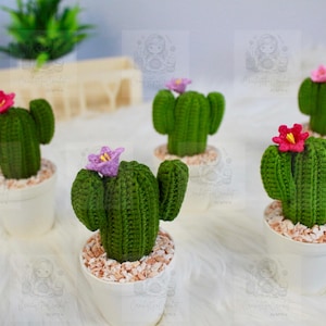 Handmade Amigurumi Cactus in Pot Crochet Decorations Handmade Cactus In Claypot Crochet Plush Toy Handmade Cactus Crochet Stuff Animal Gift