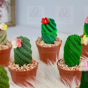 Cactus Crochet Cactus Pot Crochet Cactus In Pot Fake Cactus Plant Realistic Cactus Plant Fake Plant Fake Mini Cactus Fake Desk Plant