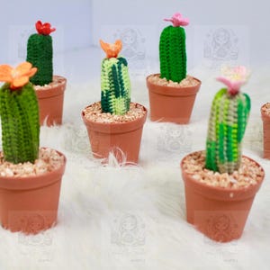 Handmade Amigurumi Cactus in Pot Crochet Decorations/ unique cactus for home improvement desk kitchen livingroom / diy/ mini cactus plants