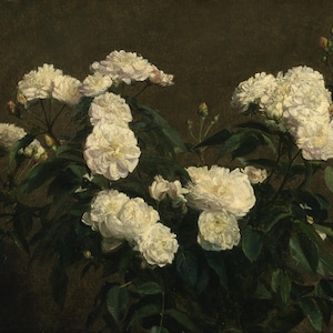 Henri Fantin-Latour - Natura morta di rose bianche Poster di pittura Stampa su carta fotografica strutturata