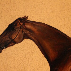 George Stubbs, Pangloss, 1762, dipinto, poster, stampa su tela, carta fotografica testurizzata