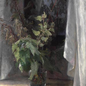 Bertha Wegmann, Bodegón con ortigas en un jarrón de cristal junto a una cortina blanca, pintura, póster, impresión en lienzo, papel fotográfico texturizado