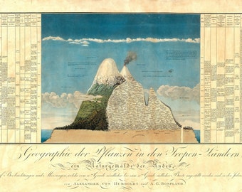 The Geography of Plants – Alexander von Humboldt Painting Poster Canvas  Print Textured Photo Paper