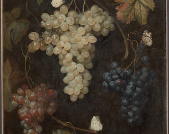 Grapes and Butterflies by Philipp Ferdinand de Hamilton Painting Poster Canvas Print Textured Photo Paper