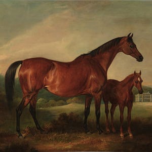 John Ferneley Beeswing & Foal con Old Fort Beyond Poster dipinto Stampa su tela Carta fotografica testurizzata