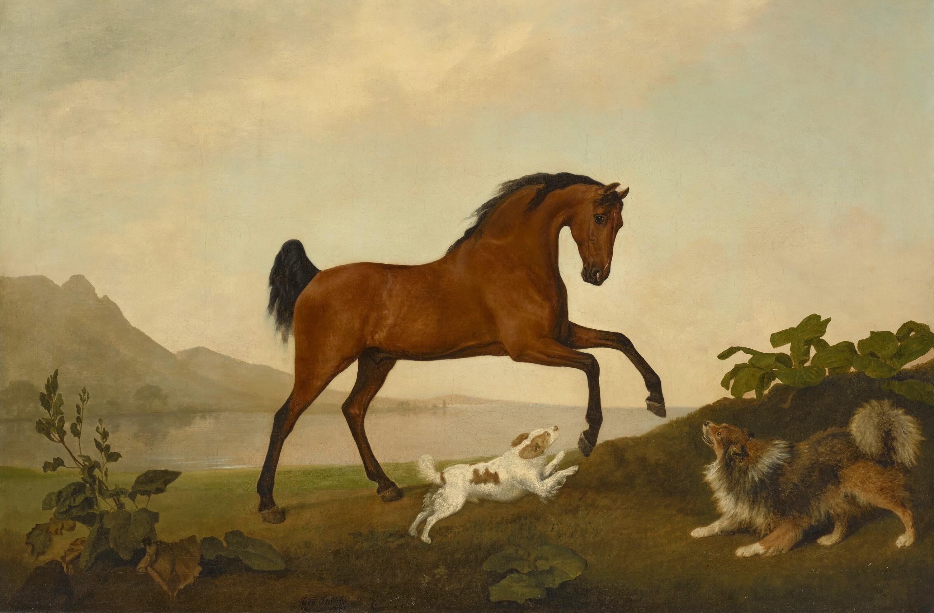 George Stubbs A prancing horse with two dogs, in a landscape, 1791 Painting Poster Canvas Print Textured Art Paper