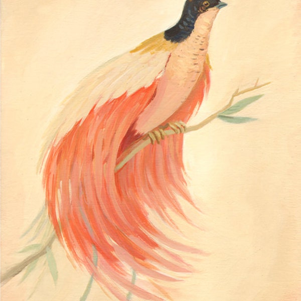 Bird of Paradise Print 8x10