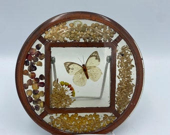 Vintage Butterfly Trivet Lucite Resin Acrylic Nature 60s 70s Boho Cottagecore