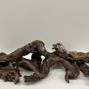 Grapevine set | Decoration for home / Decoration made of wood / Wooden decoration / Wood for crafts / Grapevine / Vine stock / Root / Old vine