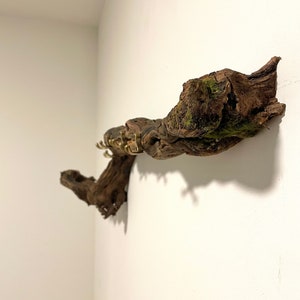 Wall coat rack made from a vine. Coat rack. Rustic jacket rack. Rustic coat rack. Coat rack made from a vine. Wall coat rack image 5