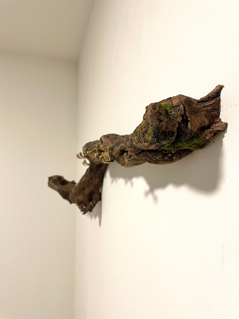 Wall coat rack made from a vine. Coat rack. Rustic jacket rack. Rustic coat rack. Coat rack made from a vine. Wall coat rack image 5