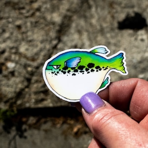 Vinyl Blowfish Sticker, Laptop Decal, Water Bottle Sticker, Die Cut Sticker