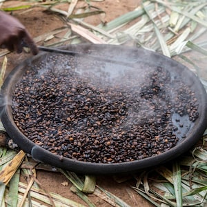 Frisch geröstete äthiopische Yirgacheffe-Kaffeebohnen | Arabica aus einer einzigen Herkunft, blumig-zitrische Noten