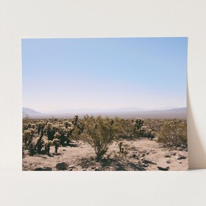 Joshua Tree