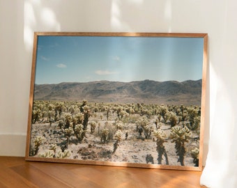 Cactus wall art, Joshua Tree photography print, desert wall decor