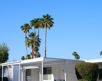 Sunday Driver, Palm Springs photography print, Mid-Century Modern architecture wall art
